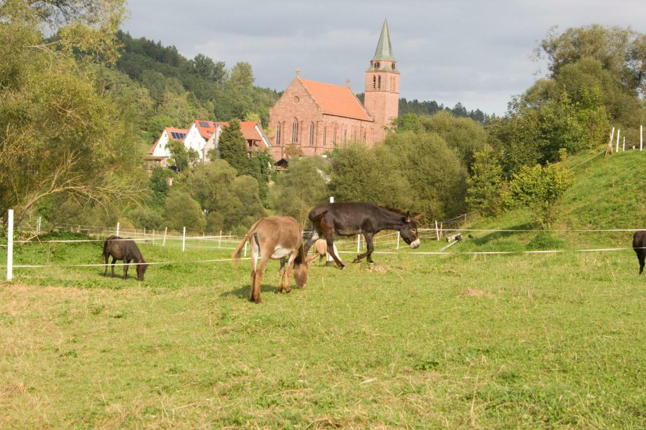 Ferienwohnung Spreter Zimmern ob Rottweil المظهر الخارجي الصورة